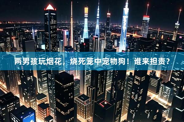 两男孩玩烟花，烧死笼中宠物狗！谁来担责？