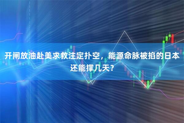 开闸放油赴美求救注定扑空，能源命脉被掐的日本还能撑几天？