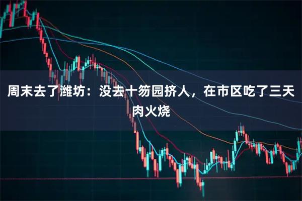 周末去了潍坊：没去十笏园挤人，在市区吃了三天肉火烧