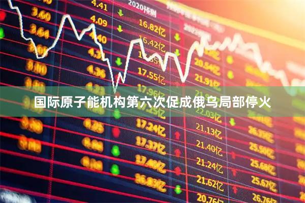 国际原子能机构第六次促成俄乌局部停火